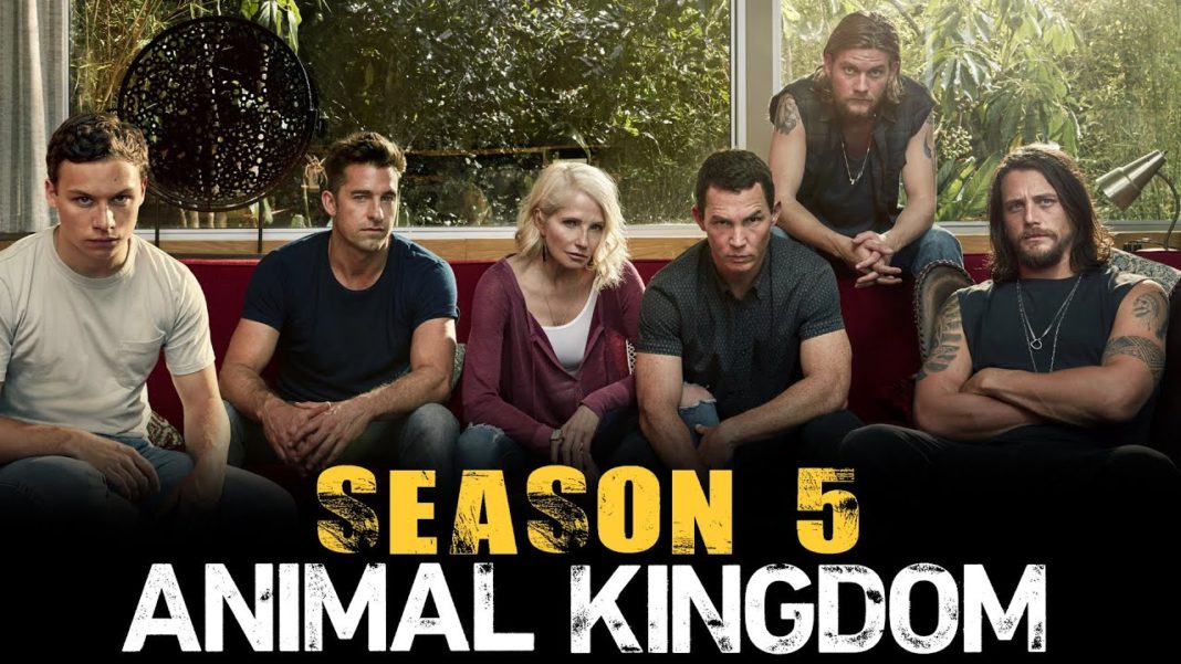 Animal Kingdom Season 5 Release Date Revealed! Watch the official trailer