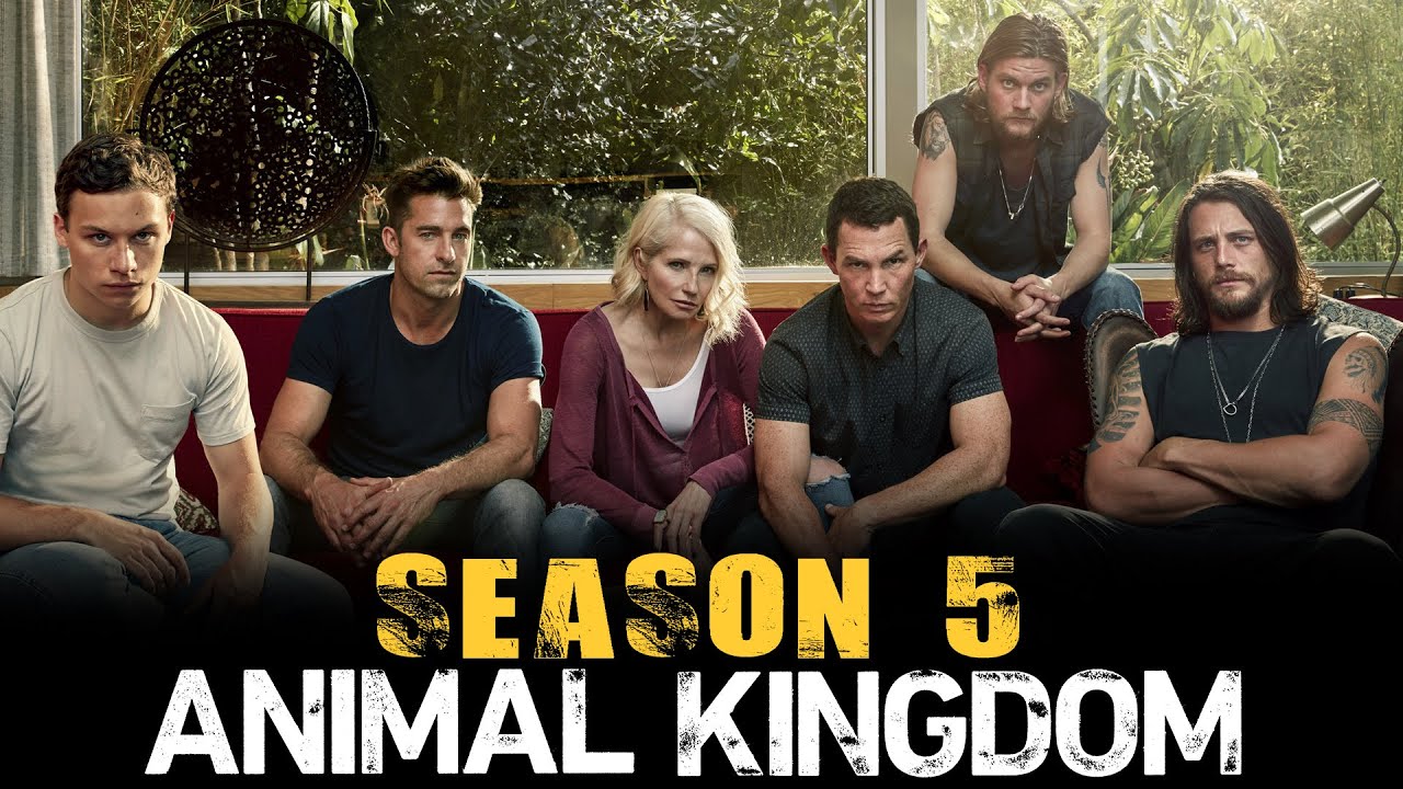 Where To Watch Season 5 Of Animal Kingdom